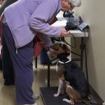 Humane Society of Southwest Washington Florida Dogs 8