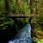 Quinault Rainforest Pony Bridge