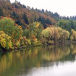 Fall Clark County Autumn Colors at Ridgefield