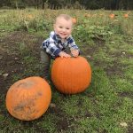 Pomeroy Farm Pumpkin Patch