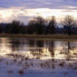 Clark County Wildlife Refuges Ridgefield Wildlife Refuge