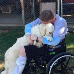 Northwest Battle Buddies wheelchair vet and dog