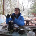 Elizabeth Koch Columbia Springs pine tea