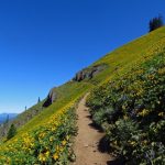 Pacific Northwest Trails Dog Mountain by Jeff Hollett