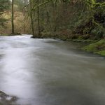 Pacific Northwest Trails The Flowing waters along the Lacamas Trails