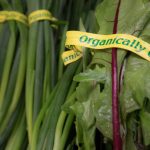 PeaceHealth Organics Dirty Dozen