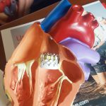 HJ John Luke Boyer Holding Heart