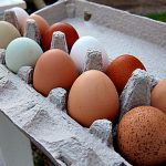 Half Moon Farm Eggs