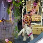 Luepke Flowers and Finds Vancouver Marty Round Window