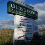 Skagit County Christmas Tree Farms Christianson’s Nursery holiday plants