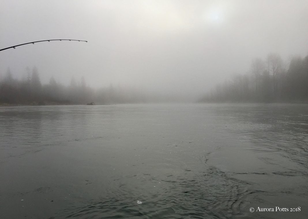 Skagit County Fishing Skagit River scenic