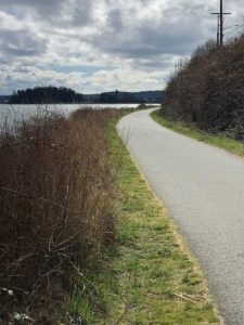 Skagit Bike Routes Tommy Thompson Trail Anacortes