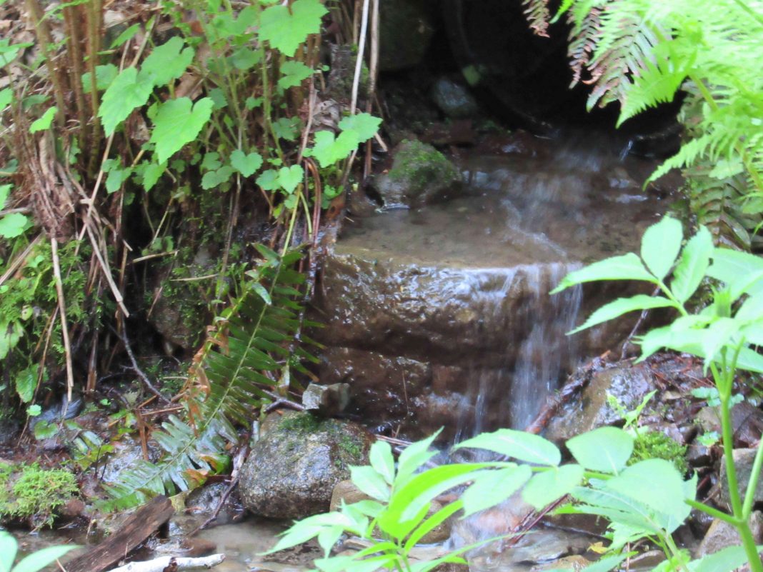 Hikes with waterfalls Skagit County cascade