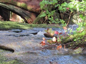 Hikes with waterfalls Skagit County headwaters