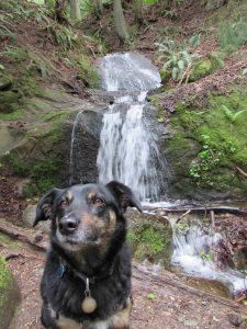 Hikes with waterfalls Skagit County with Roxie