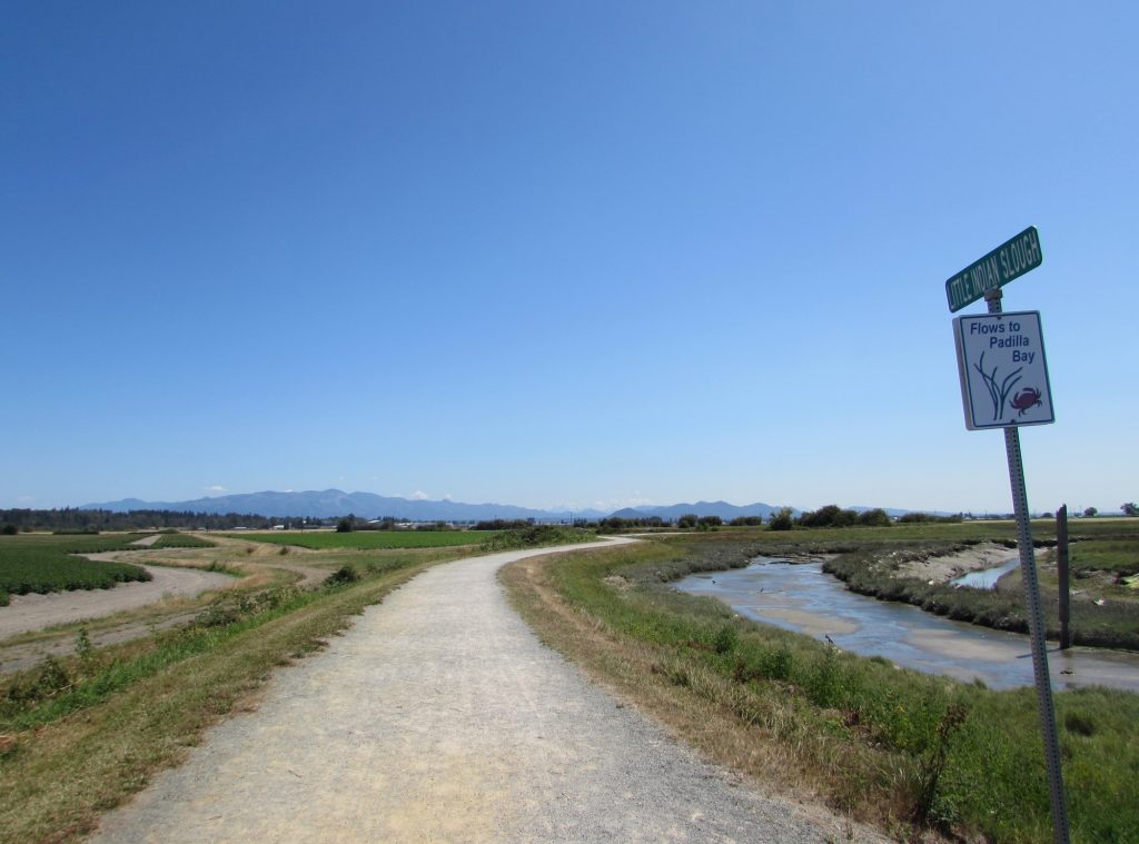 Family Friendly bike ride Skagit County Padilla Bay Shore Trail