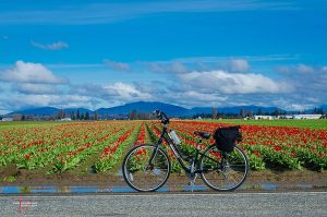 Skagit County Free Kids Activities Biking