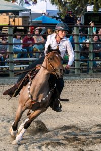 Skagit County Fair