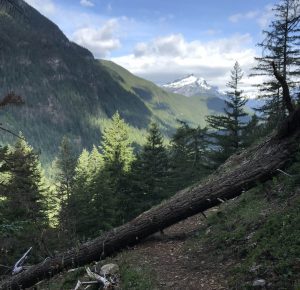 Backpacking in Skagit Blowdown Mountain