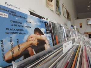 The Business Anacortes Record Store Vinyl