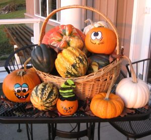 Baby Bay Produce Decorative Pumpkins