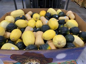 Baby Bay Produce Winter Squash