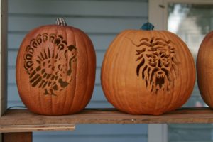 Pumpkins carved