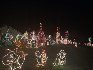 Christmas Lights in Skagit County Biz Point Road Anacortes animals