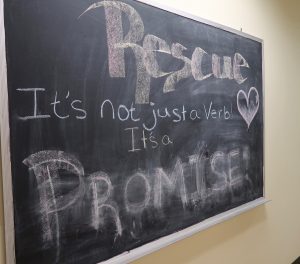 Humane Society of Skagit Valley Blackboard