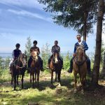 Things to do in Mount vernon Langs Pony Farm Trail ride