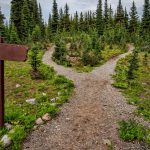 Skagit-PCT_End-of-the-Trail