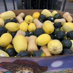 Locally Sourced Thanksgiving_Bay Baby Produce Winter Squash