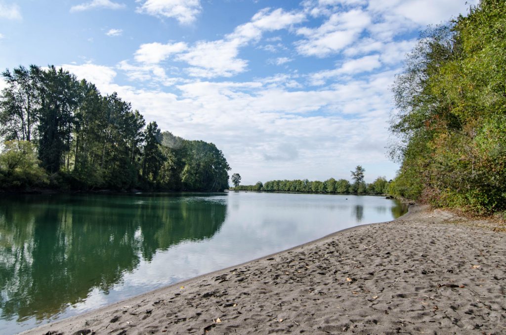 Skagit-City-history Sandy-Beach-on-the-Skagit-River-Today