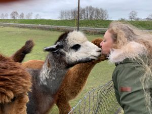 Alpaca Farm Mount Vernon Ruth-Gets-a-Kiss