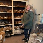 Alpaca Farm Mount Vernon South Fork Farms Boutique
