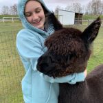 Alpaca Farm Mount Vernon Sydney-and-Kiki