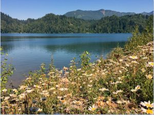 Puget Sound Energy lake shannon