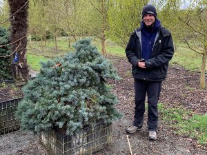 skagit gardens conifer Paul-Dozier-with-blue-spruce