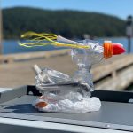2021 Summer Camps Skagit Salish Sea School