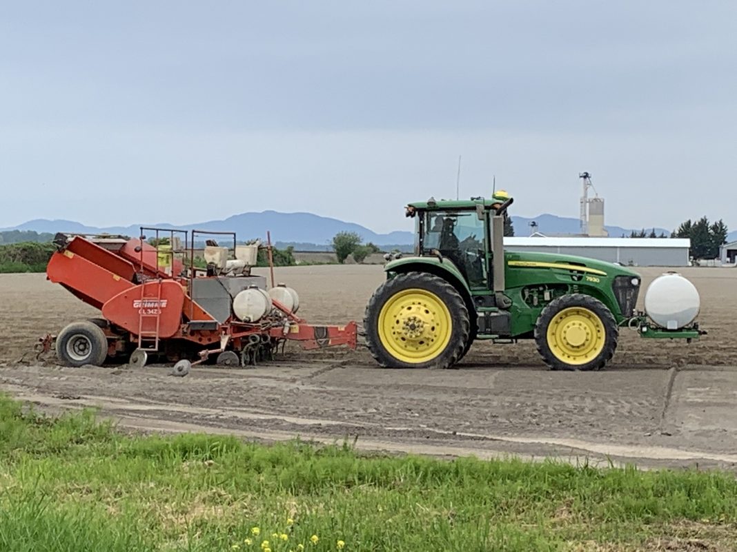 skagit agriculture planting-potatoes-near-Conway