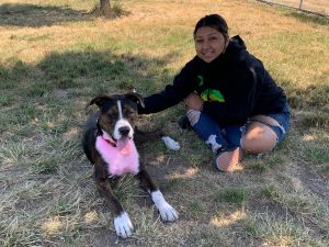 Dog parks mount vernon skagit county RayRay-and-Maria