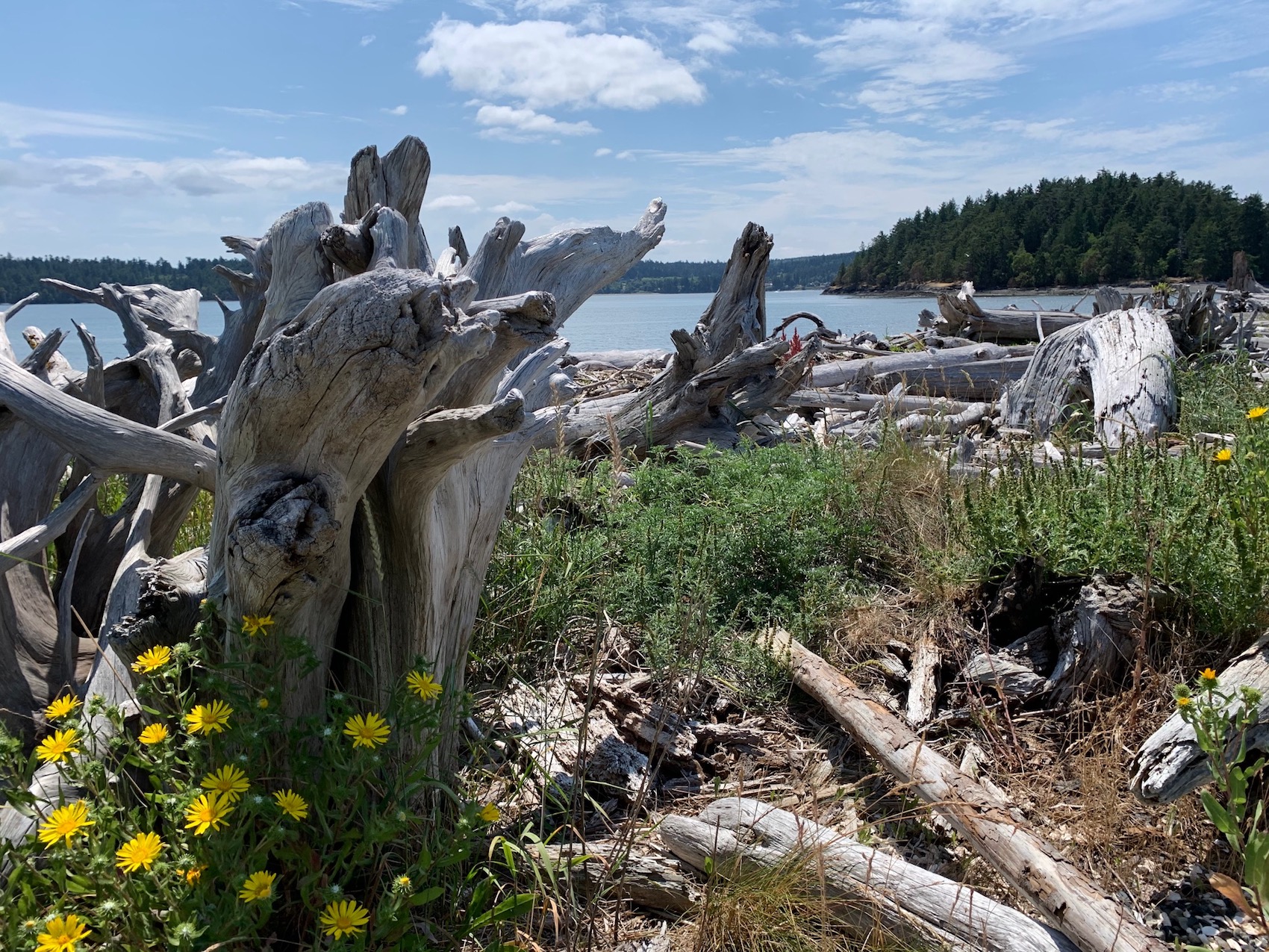 Kiket Island looking-south