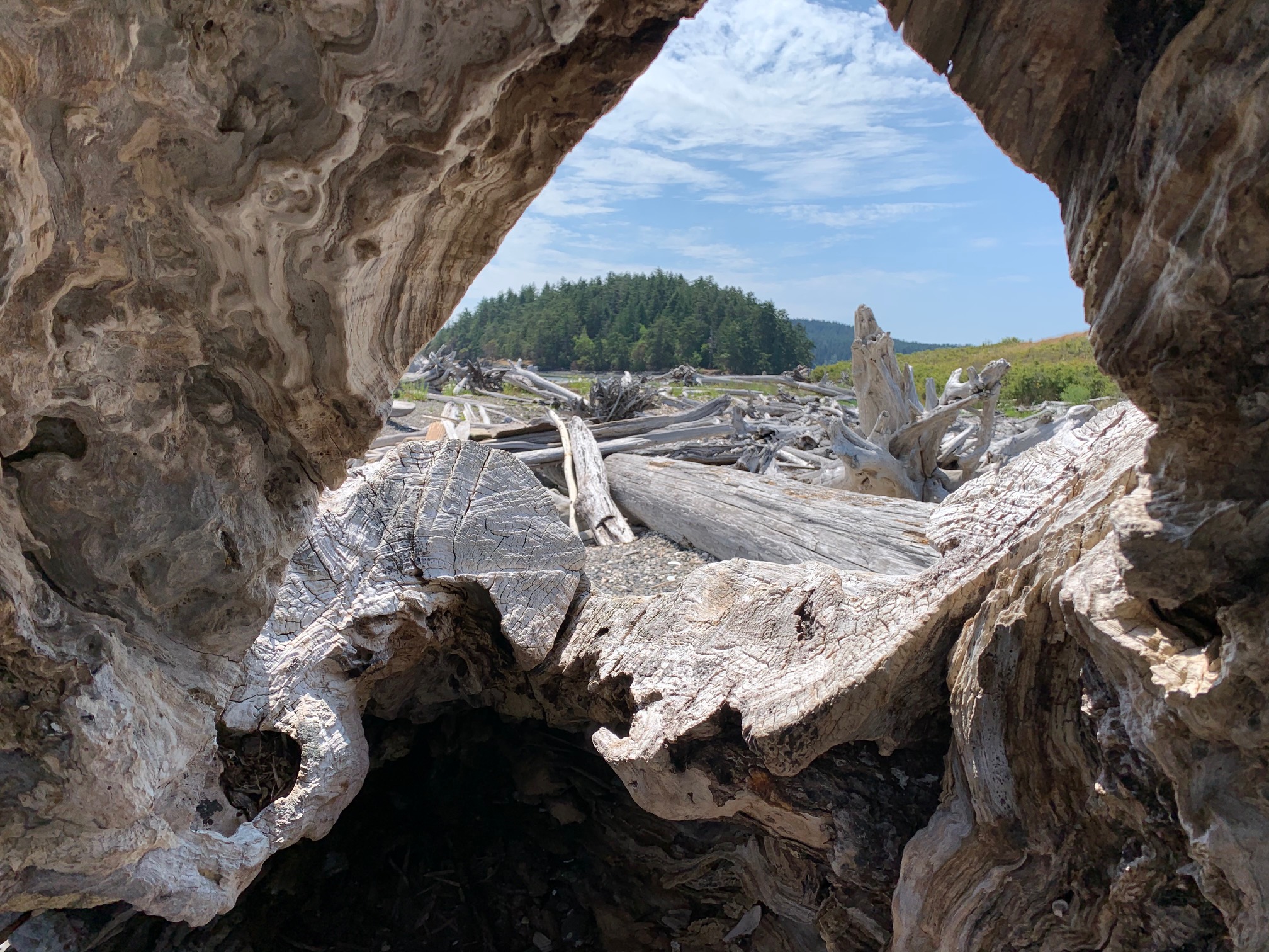 Kiket Island-wood-window