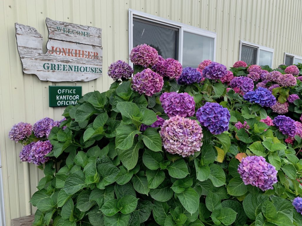 Jonkheer Greenhouses jonkheer-Sign