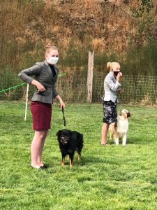 Skagit County 4h Anna Hansen showing