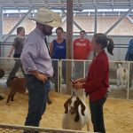 Skagit County Fair 4H Jaelynn VanValkenburg boer goat