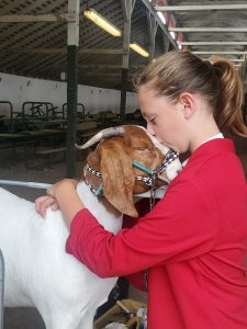 Skagit County Fair 4H Jaelynn VanValkenburg love