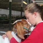 Skagit County Fair 4H Jaelynn VanValkenburg love