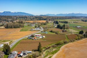 Bow-Hill-Blueberries-2021-Farm-from-Above