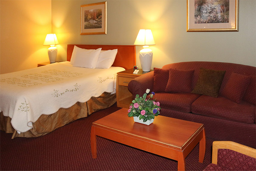 Dog friendly hotels skagit county Tulip inn